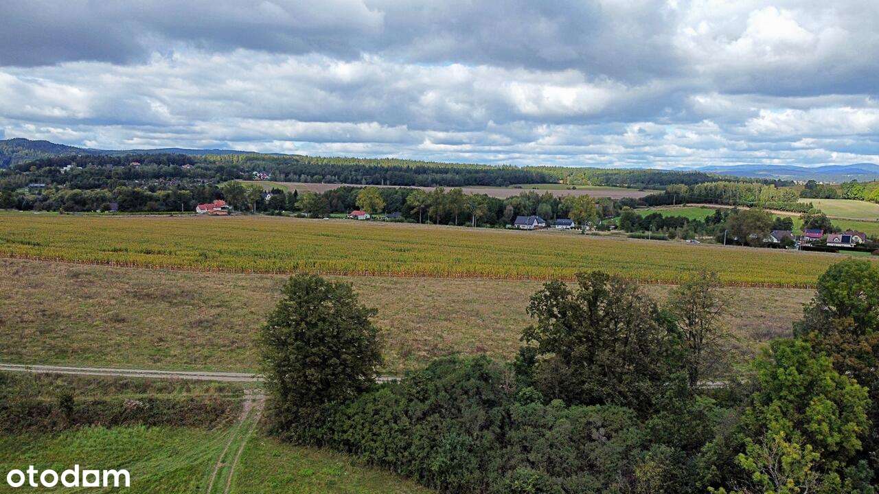 Stary Wielisław - działka budowlana. - Pełny obrazek: 4/5