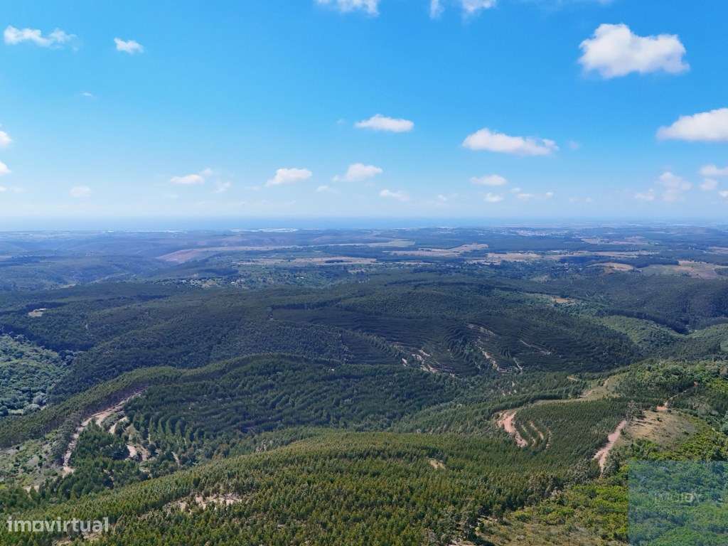 Terreno em São Teotónio, Odemira-7
