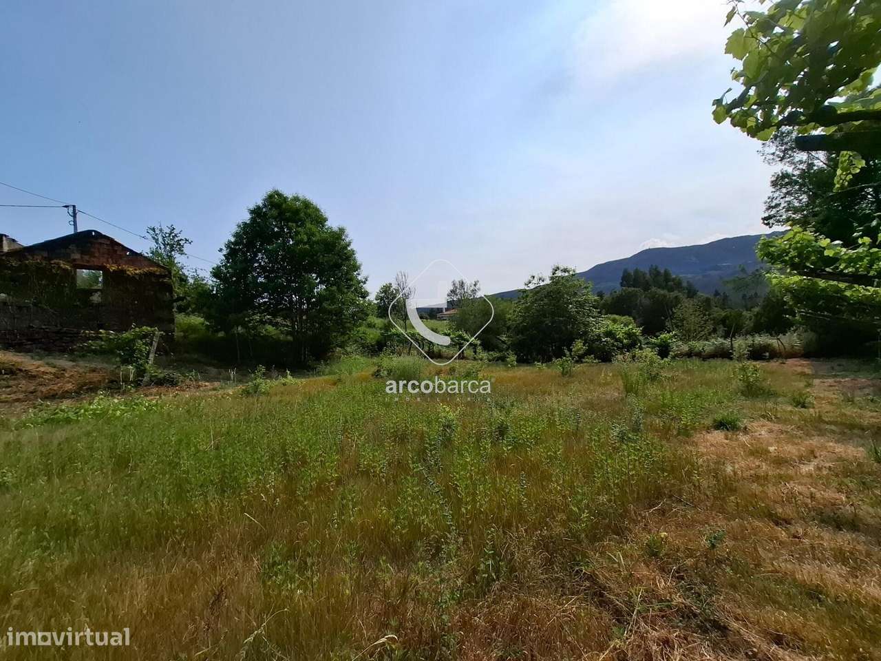 Quintinha ruinas p/restauro com 2520m2 - Moreira Lima - Ponte de Lima-7