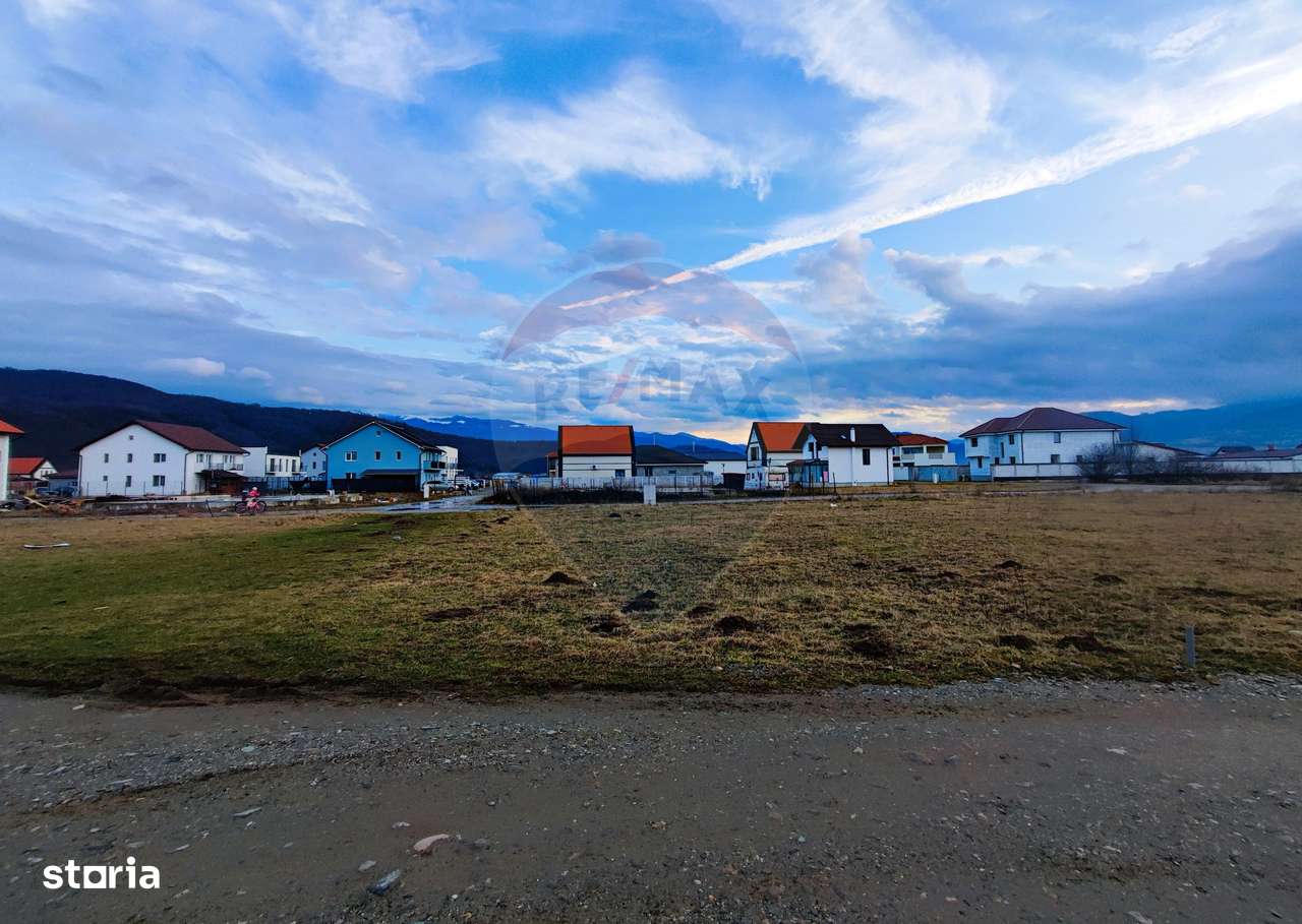 Teren intravilan de vânzare în Tălmaciu-4