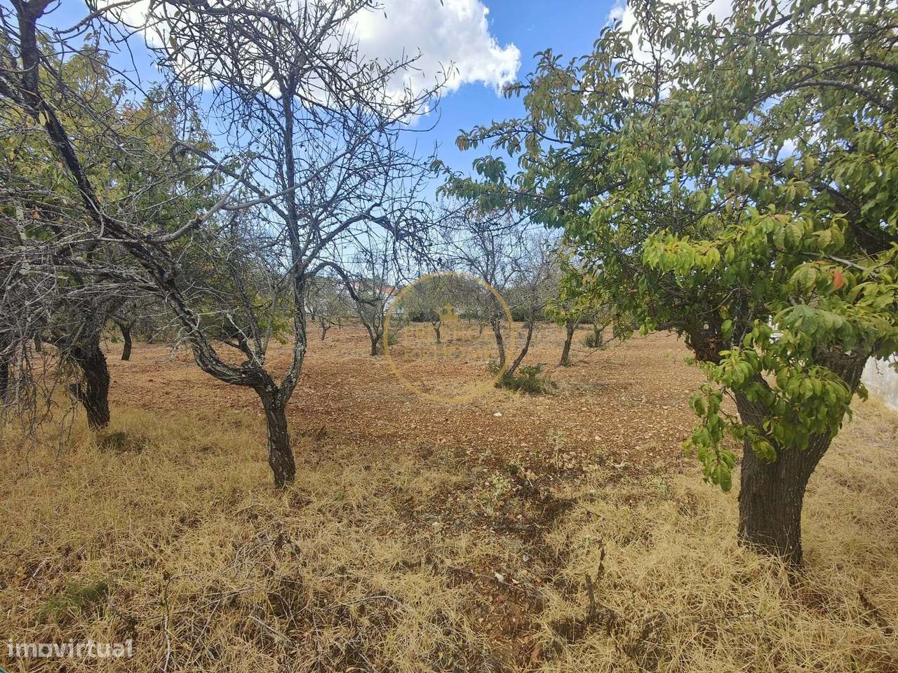 Terreno urbano com 2,136m2 com viabilidade de construção de 300 m2 - Grande imagem: 2/7