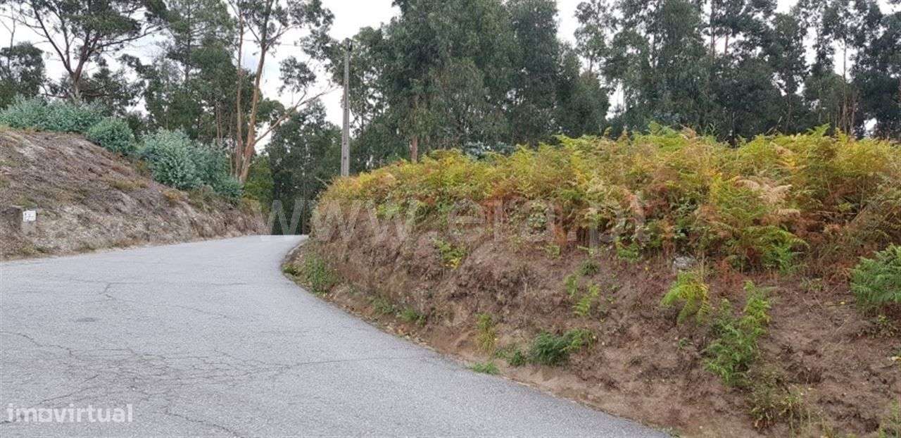 Terreno - Grande imagem: 5/5