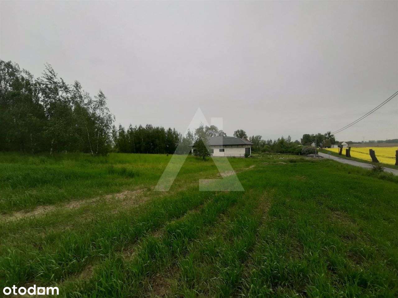 Działka budowlana 3000 mkw Kotnowo - Pełny obrazek: 4/7