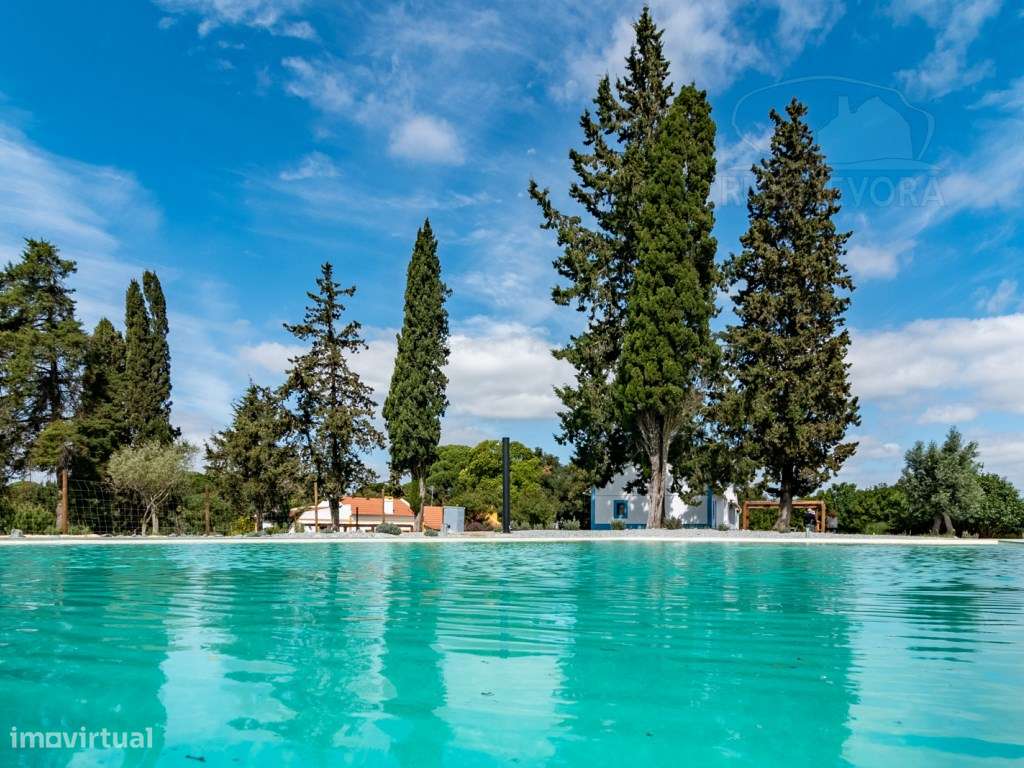 Herdade com 37 Ha com 6 Moradias para Habitação e/ou Turismo | Alcá...-7