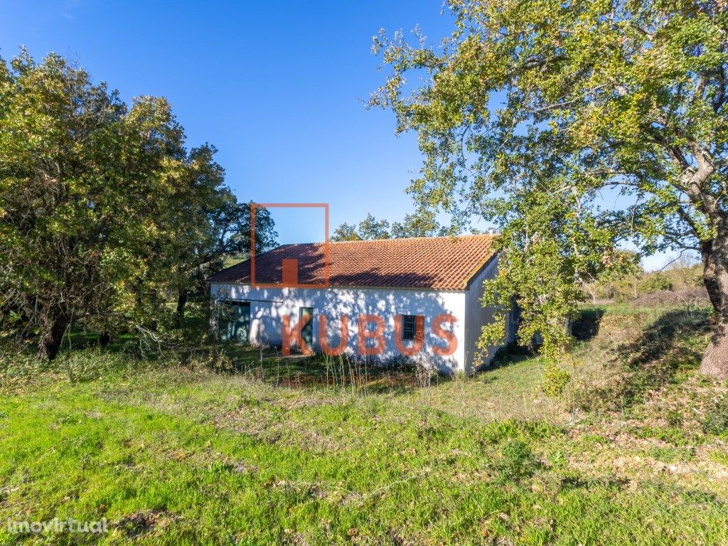 Quinta Agrícola com Barracão em Soudos - Torres Novas