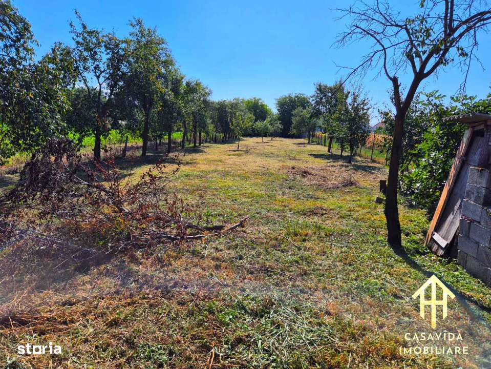 Casa cu teren generos in Lugojel, judetul Timis - Imagine principală: 4/8