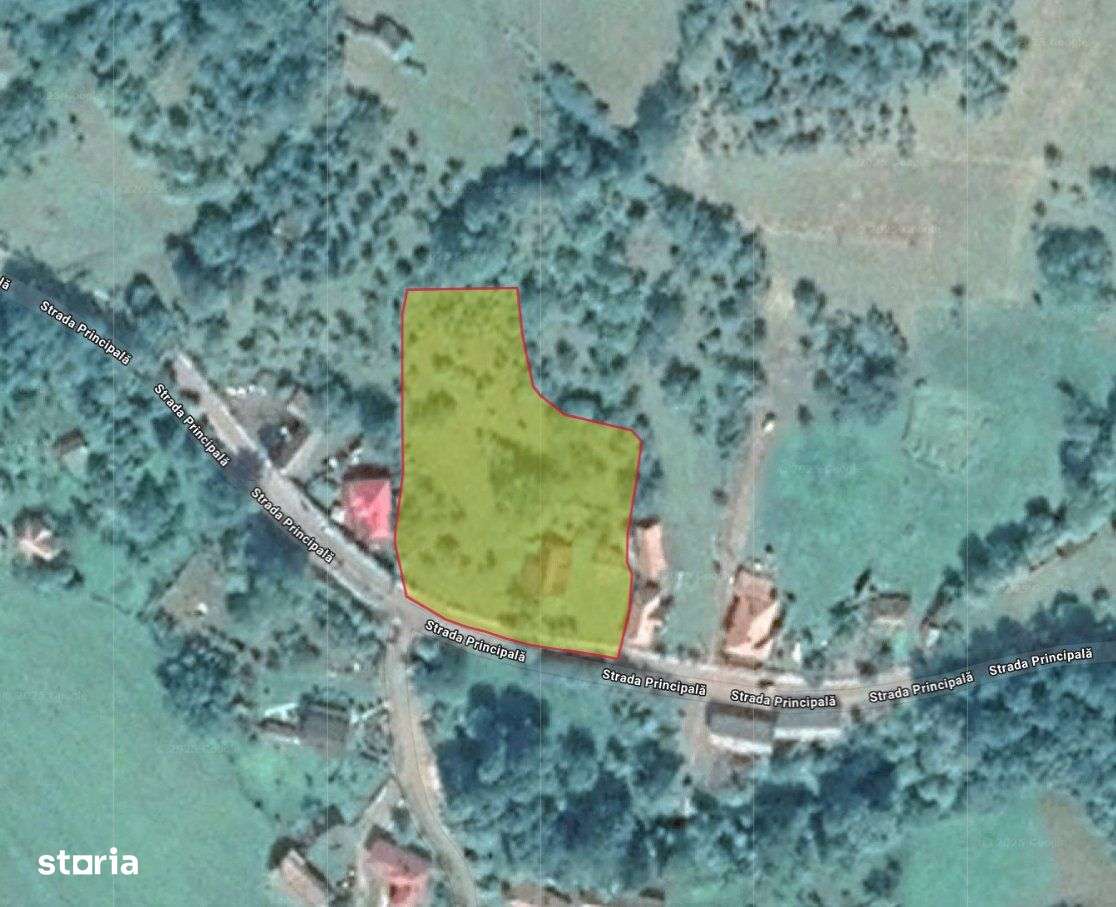 Casa + Teren 4000 mp ~ Idicel Padure-1