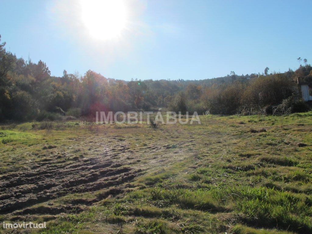 Terreno de cultivo em Tábua, com 2 casas de arrecadação e...