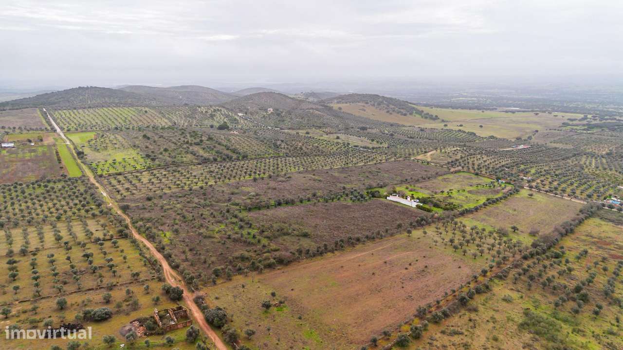 Herdade T3 em Vila Boim-14