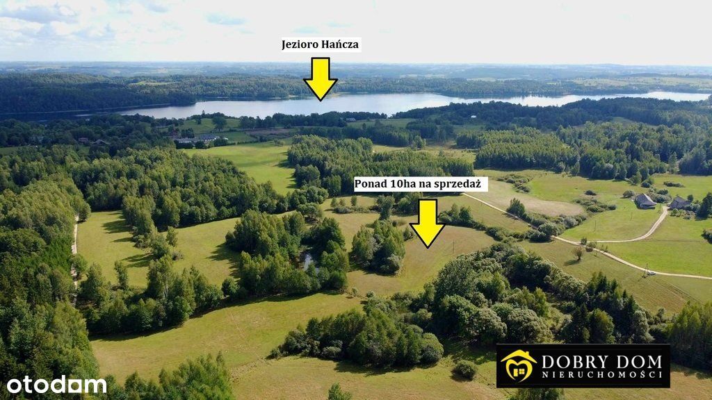 Działka z potencjałem nad jeziorem Hańcza! 10ha