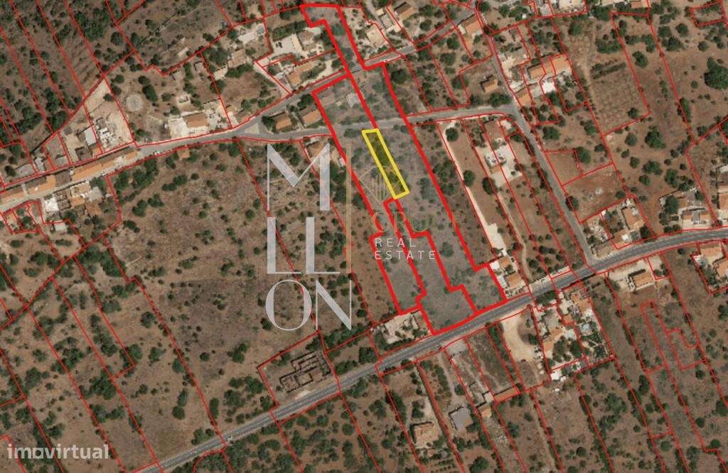 Oportunidade única de investimento! - Grande imagem: 4/4