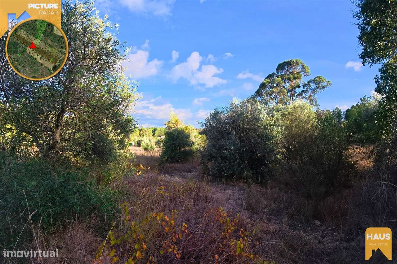 Terreno Rústico 2.300m² c/ Muros de Pedra – Juncal do Campo - Grande imagem: 5/25