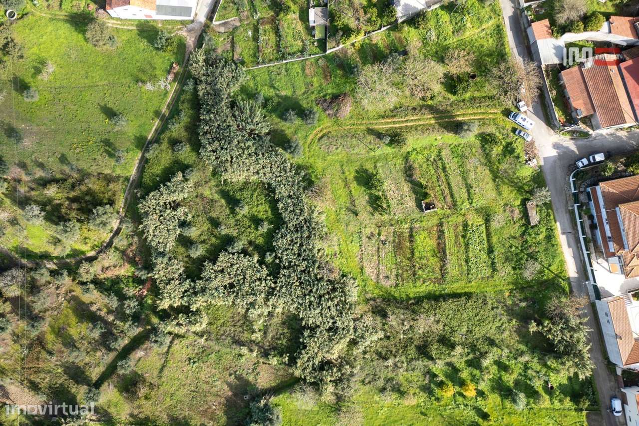 Terreno para Construção com 3148m2 em Alburitel - Grande imagem: 3/8