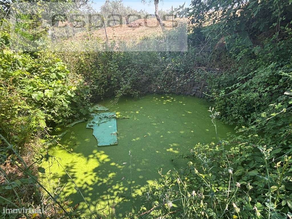 Terreno-8