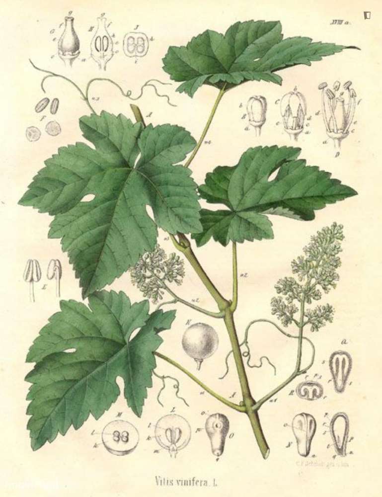 Quarto - localizado em Sé de Braga e São Lázaro Braga - Grande imagem: 3/10