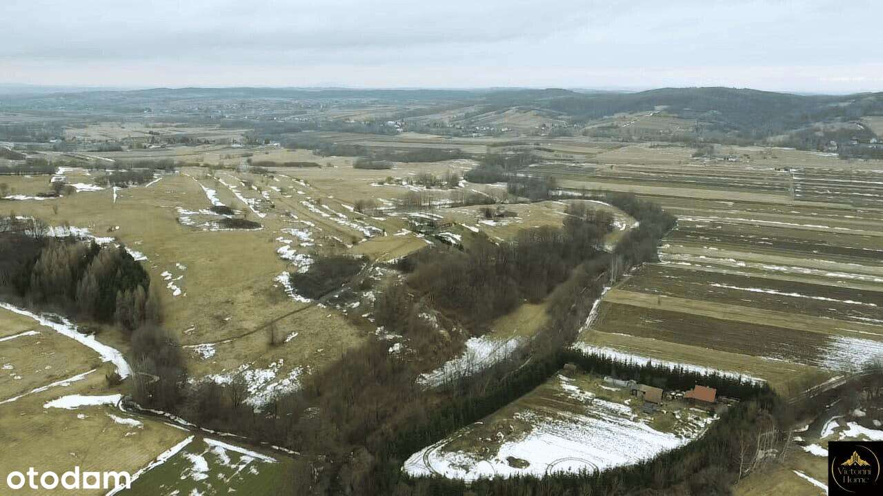 2,5ha w Draganowej z warunkami zabudowy. - Pełny obrazek: 5/8