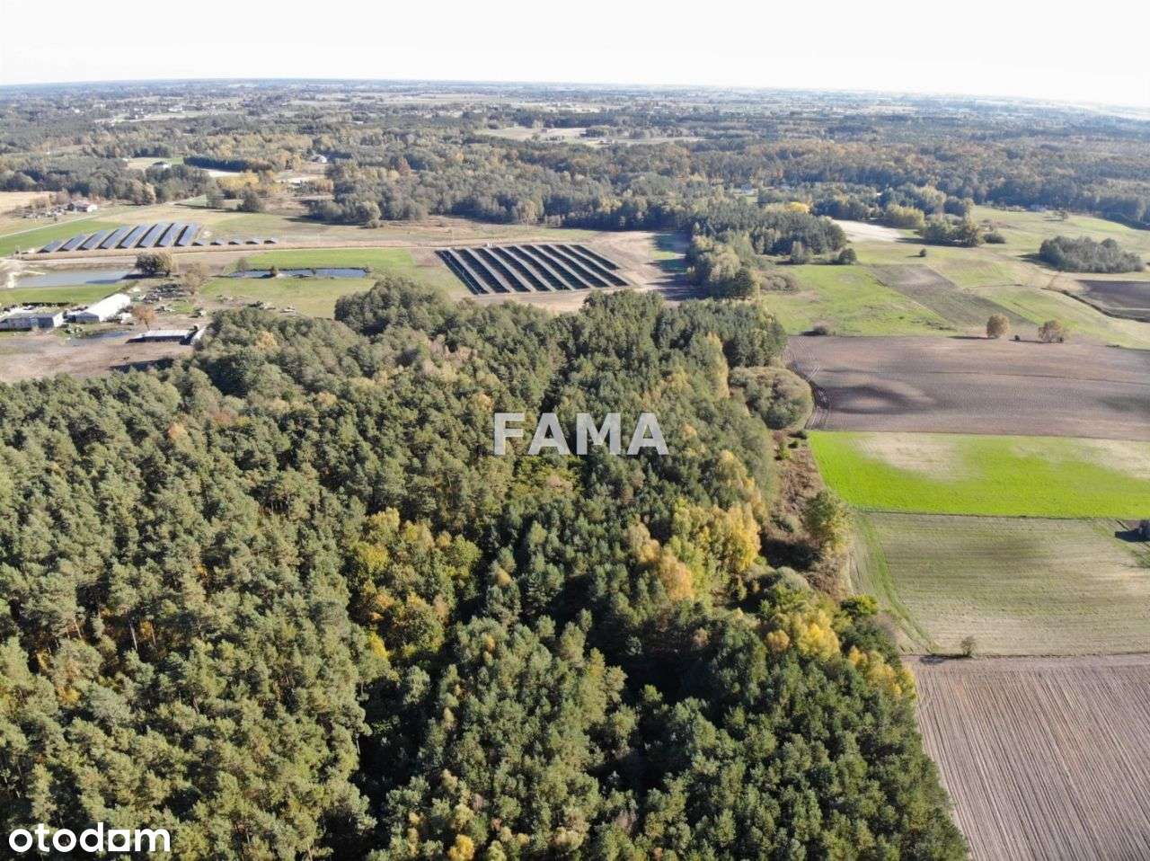 Działka 3,87 ha, Lisek, gm. Fabianki, asfalt-3