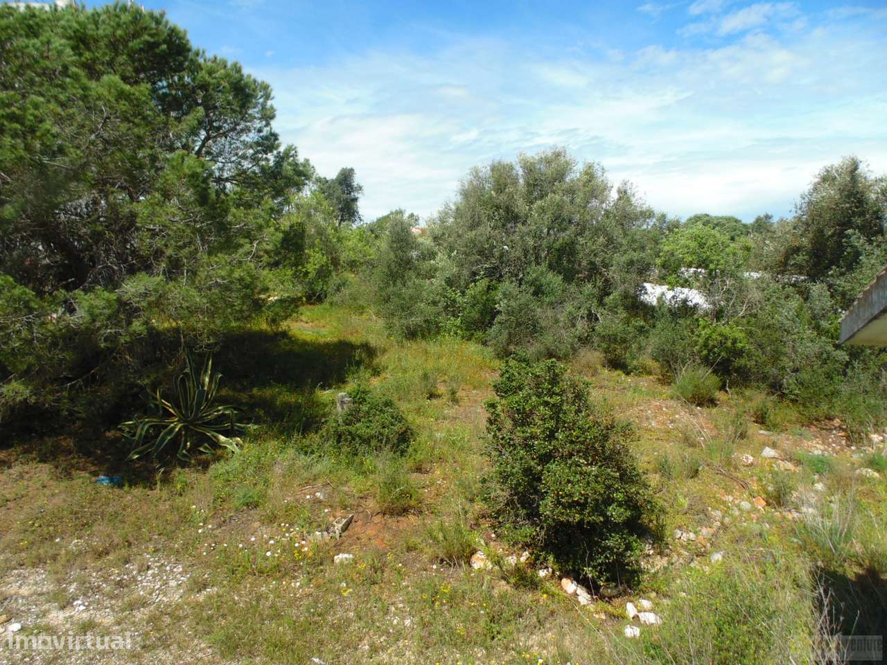 Lote de terreno para loteamento em Mexilhoeira grande. - Grande imagem: 4/18