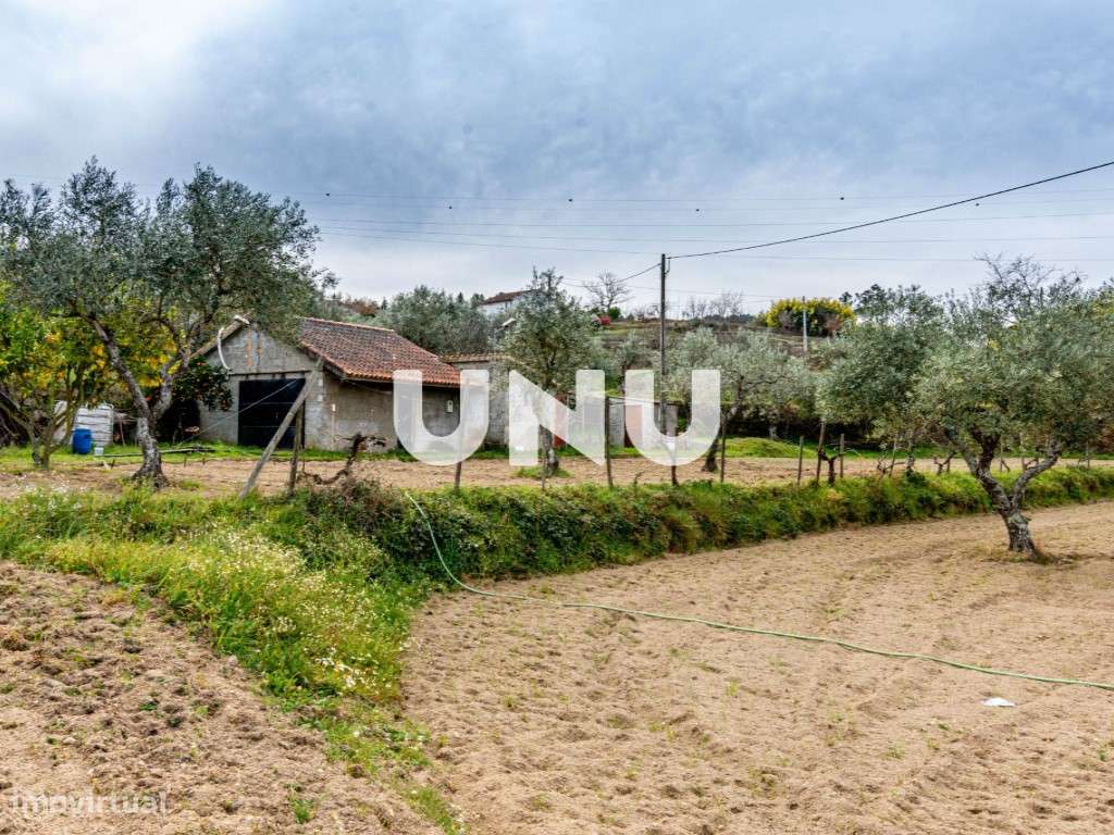 Fabulosa Quinta com 15.500m2 para venda em Ferro, Covilhã! - Grande imagem: 4/17