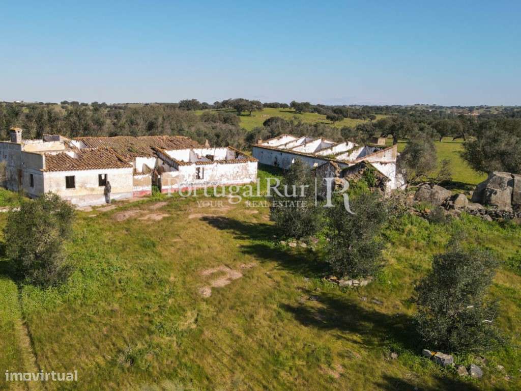 Herdade de 18 hectares perto de Estremoz-5