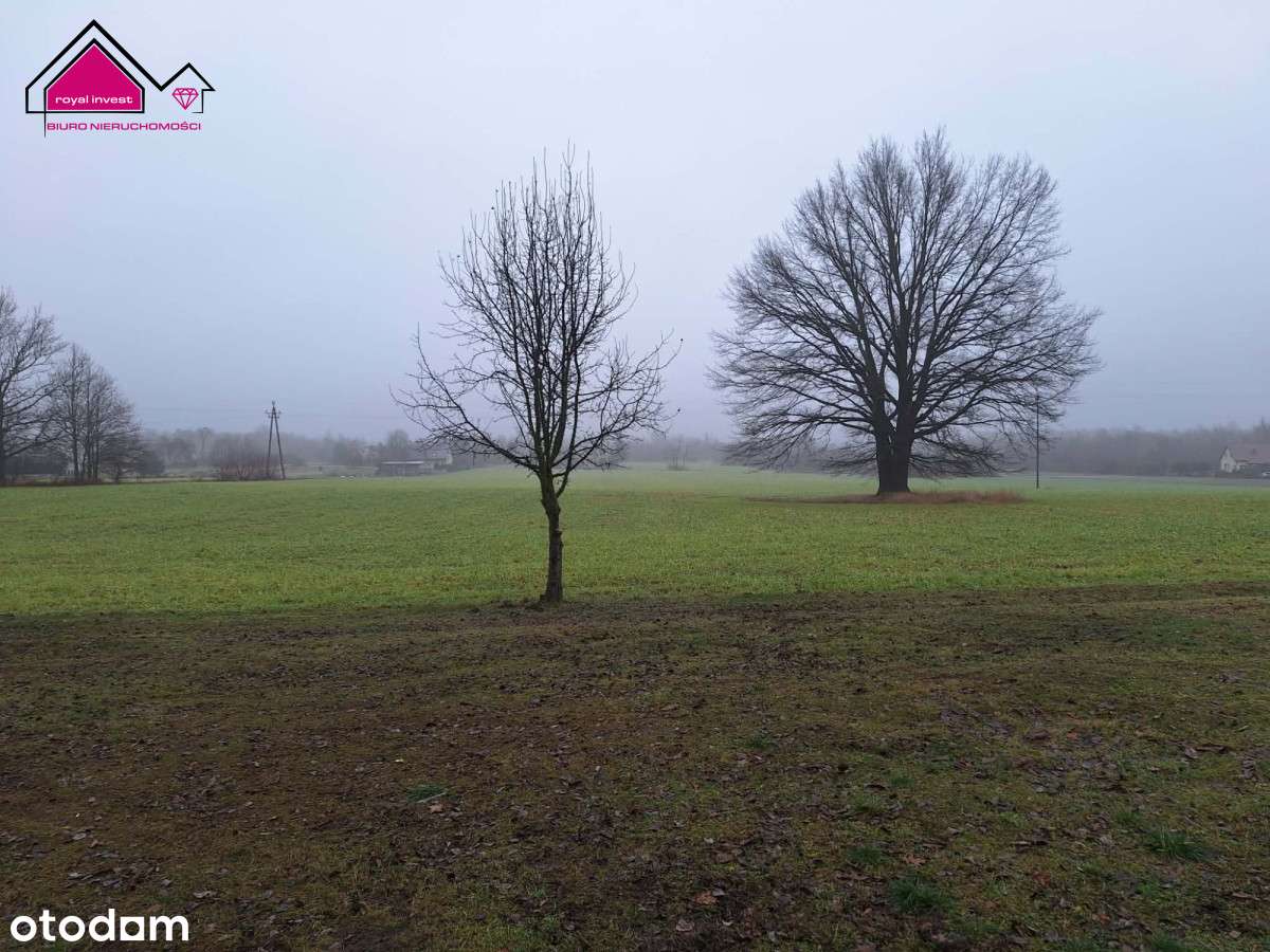 Działka z lasem - zabudowania w cenie gruntu-13