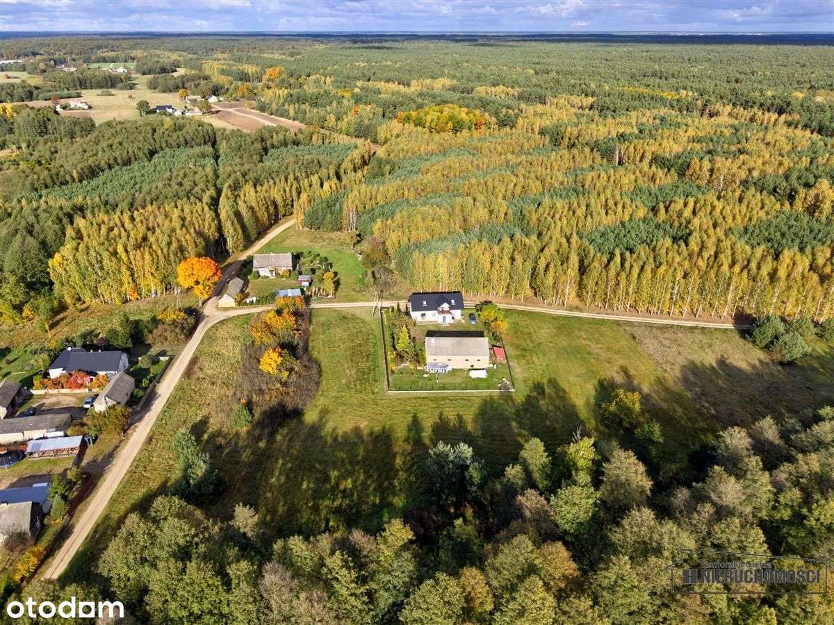 Działka pod lasem na raty - Piaseczno-11