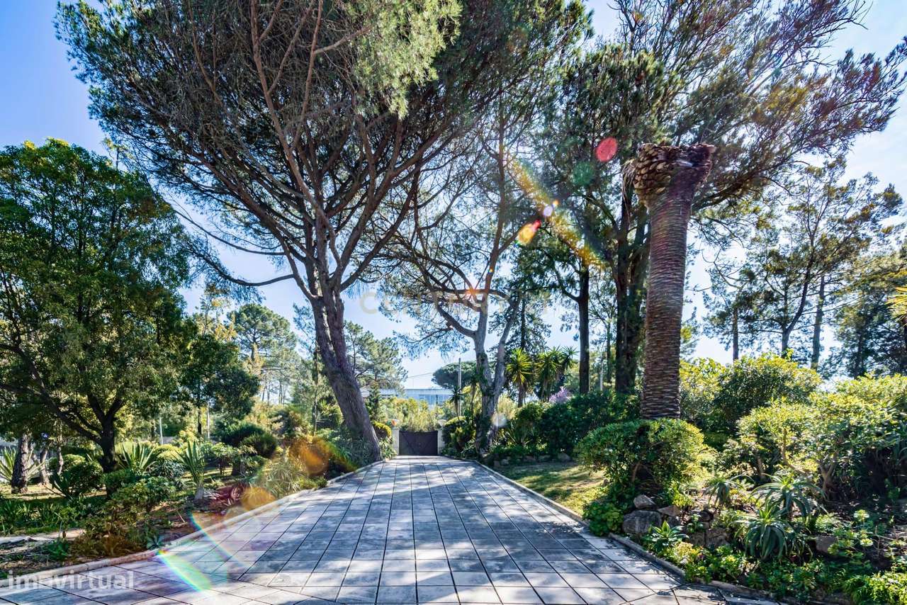 Moradia T12 e terreno 7100 m2-13