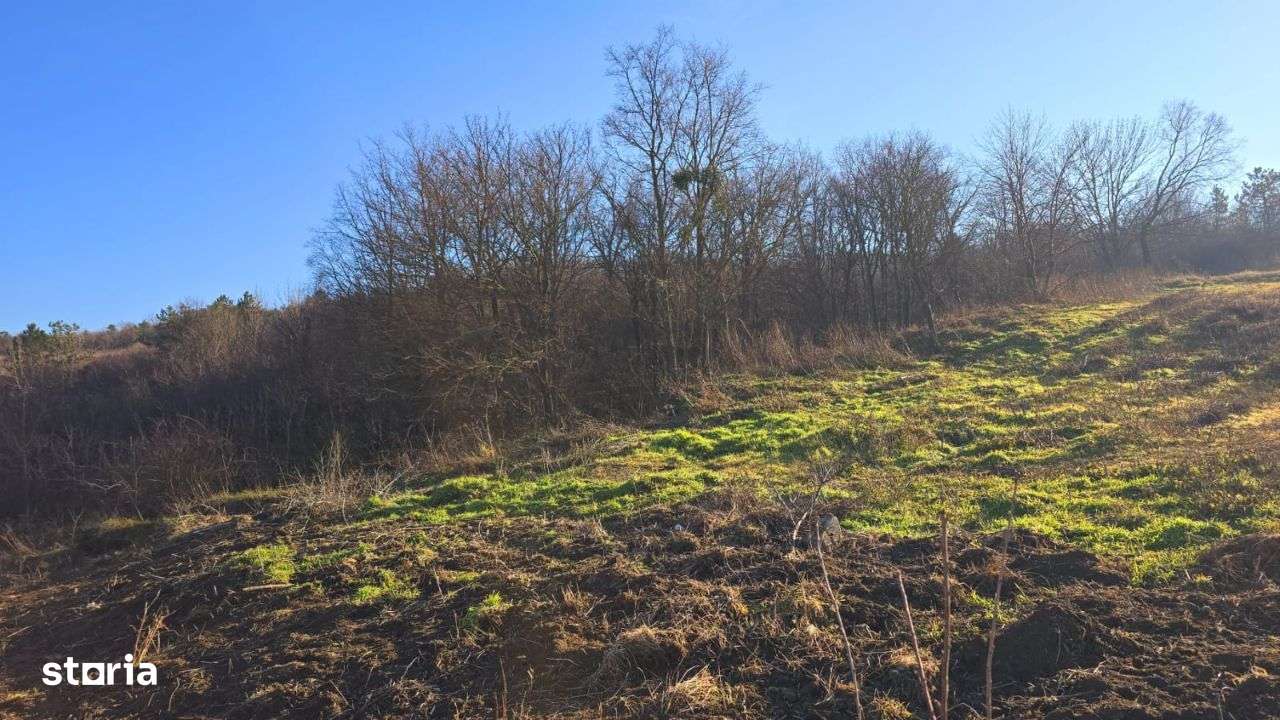 Teren de Vânzare IASI - TOMESTI intravilan 1000mp, 1266mp DN / Padure - Imagine principală: 1/1