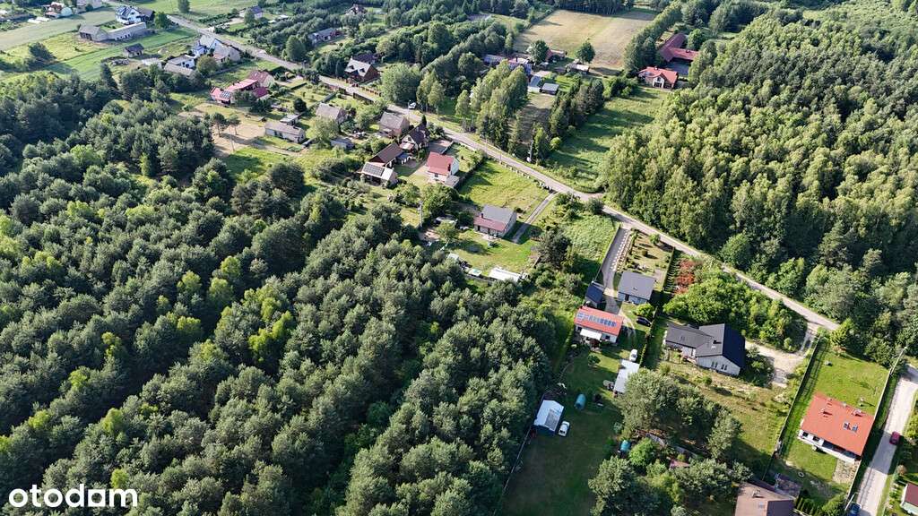 Długi Kąt | Działka budowlana w otoczeniu lasu - Pełny obrazek: 5/6