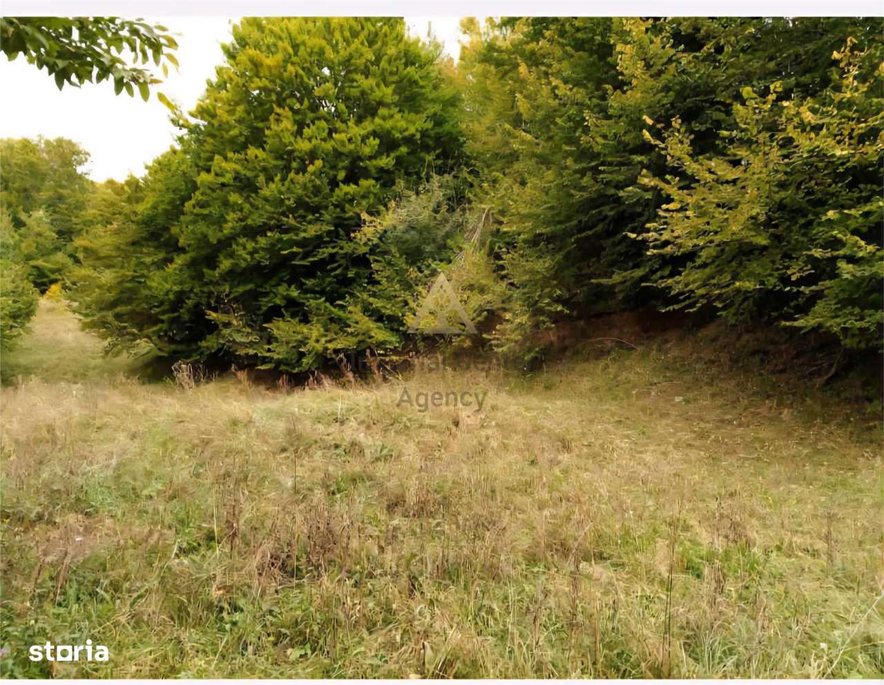 TEREN DE VANZARE IN SLANIC MOLDOVA - Imagine principală: 2/4