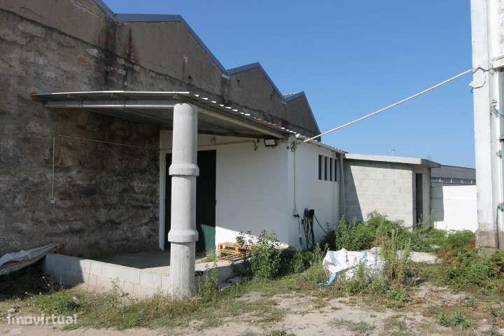 Terreno c/ Armazem Junto ao MarShopping- Gonçalves Zarco/ Crossfit - Grande imagem: 5/14