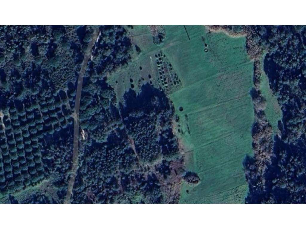 Terrenos Rústicos - Grande imagem: 5/5