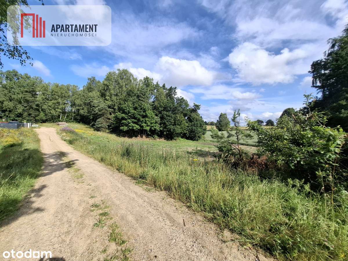 Piękna działka blisko Gdynii - Pełny obrazek: 4/6