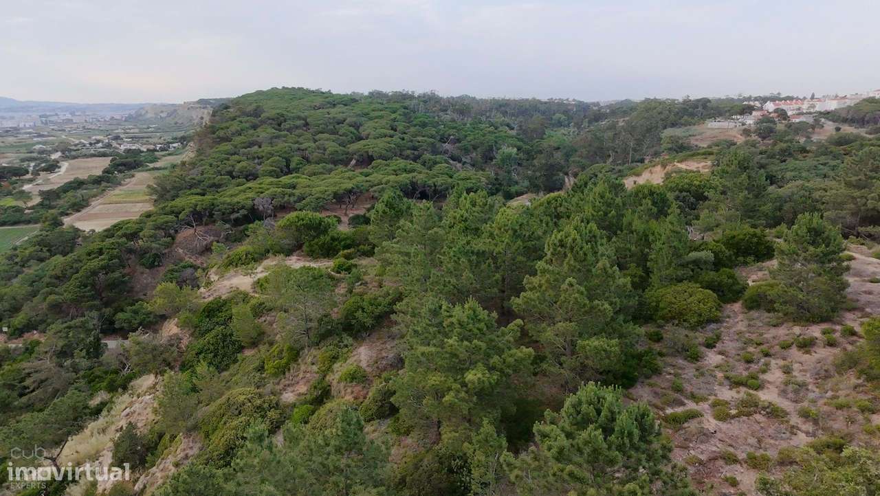 Terreno Rústico com Vista Mar e Potencial Ecológico-14