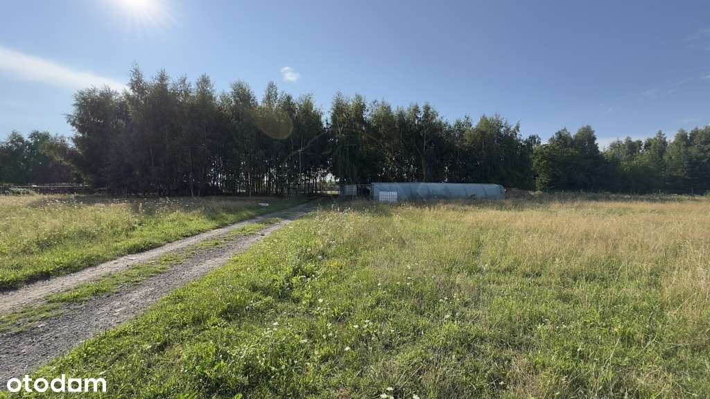 Działka Wiskitno Stróża - Pełny obrazek: 4/20