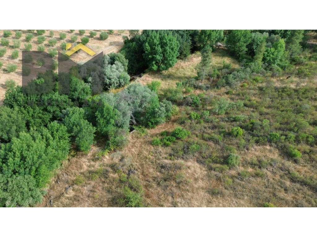 Terreno rustico com 9.480m2 para venda próximo ao Chão Da Vã! - Grande imagem: 3/16