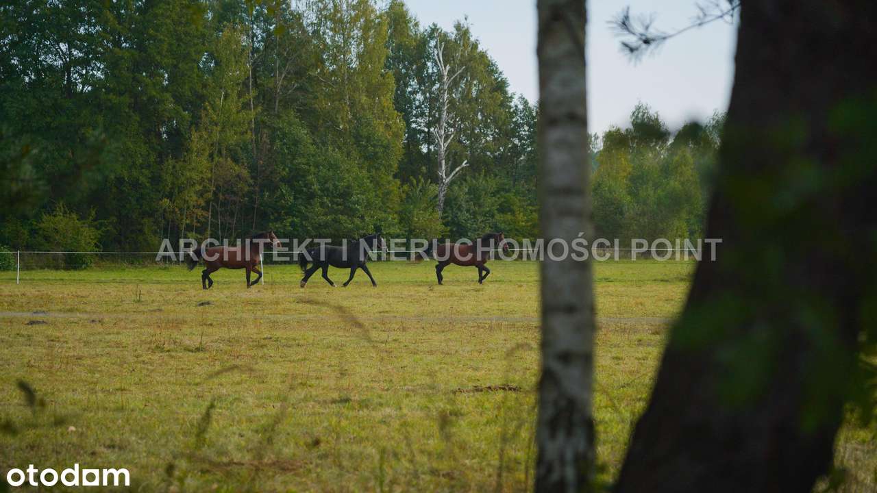 Działka k Puszczy Bolimowskiej-PKP 800m-0 prowizji-6