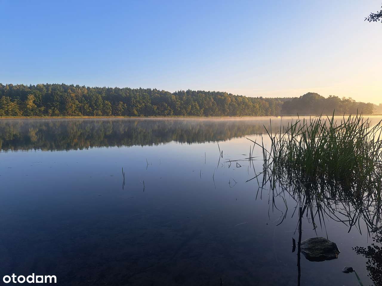 4ha z 500m linią brzegową zatoka jezioro Drawsko Czaplinek Siemczyno - Pełny obrazek: 2/20