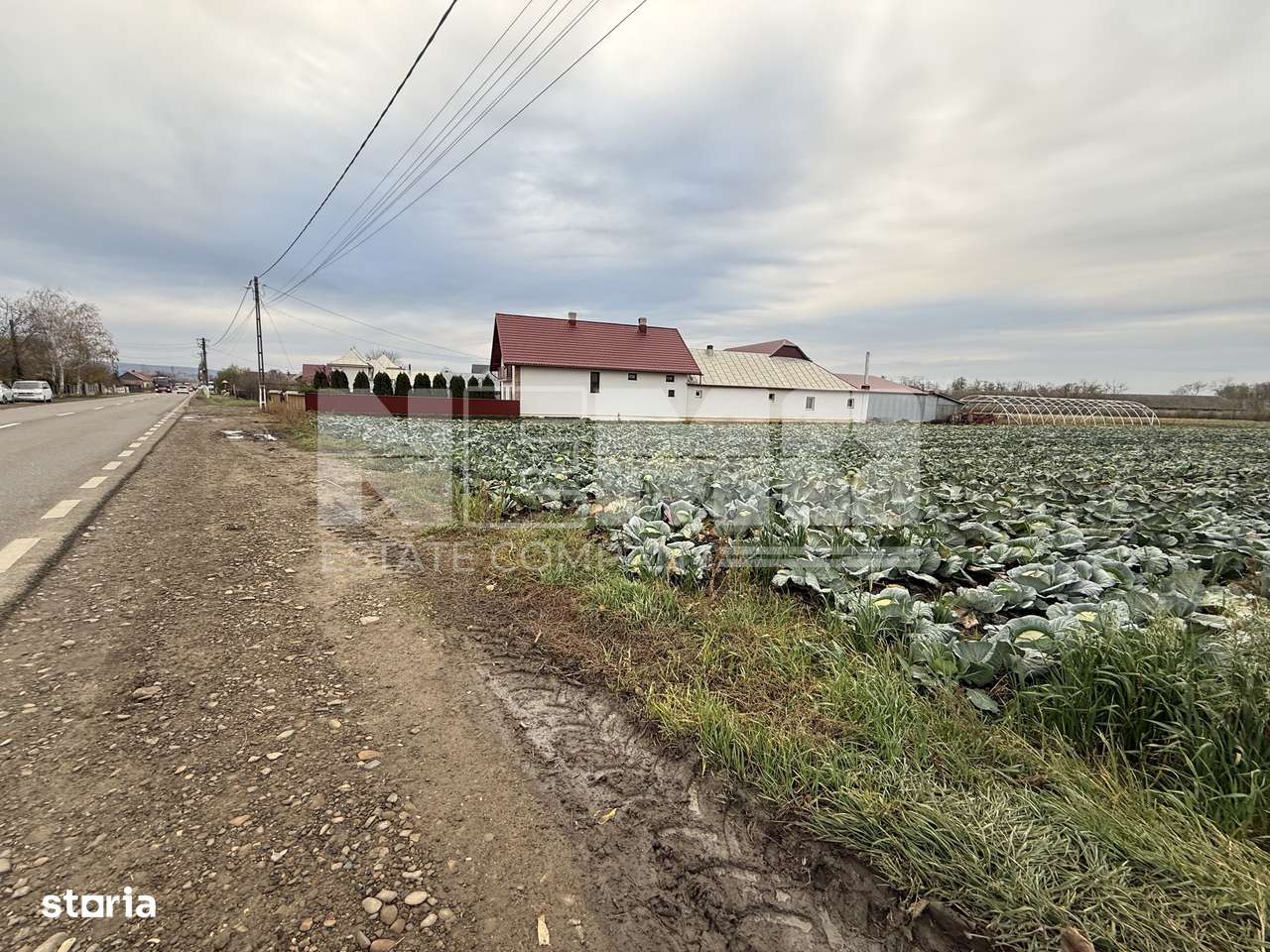 Teren 9.000 mp | Milișăuți | Intravilan | Front 38 m | 149.000 € - Imagine principală: 4/4