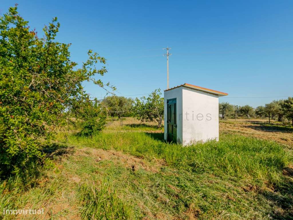 Quinta com seis quartos em Vila Nova de São Bento , Serpa-36