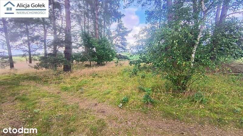 Biały Bór - Kaliska - działka budowlana o pow. 1.2-4