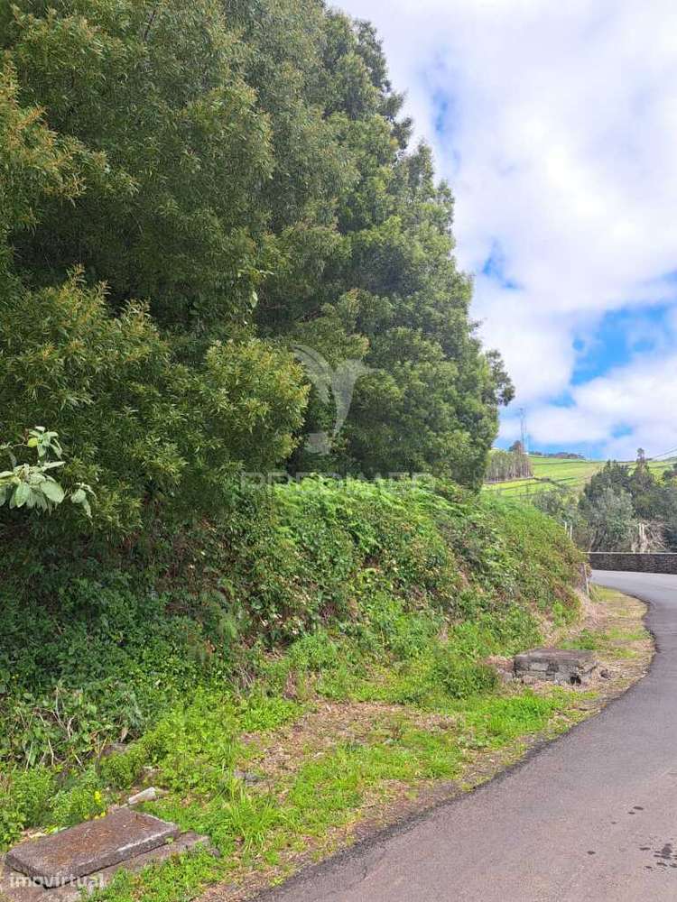 Lote para construção - Terra-chã - Grande imagem: 2/3