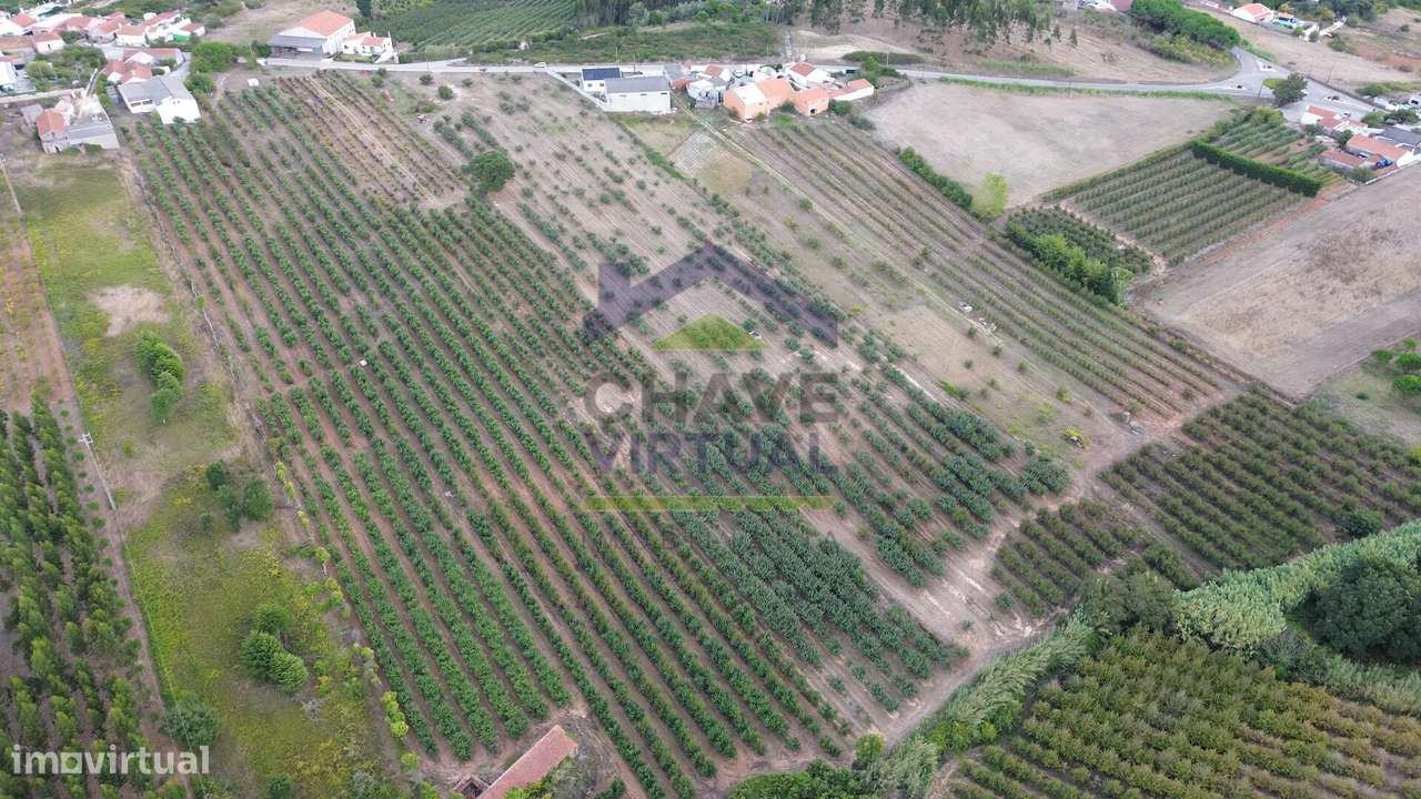 Terreno Rústico Construtível c/ 7.859 m2 Carvalhal - Bombarral-5