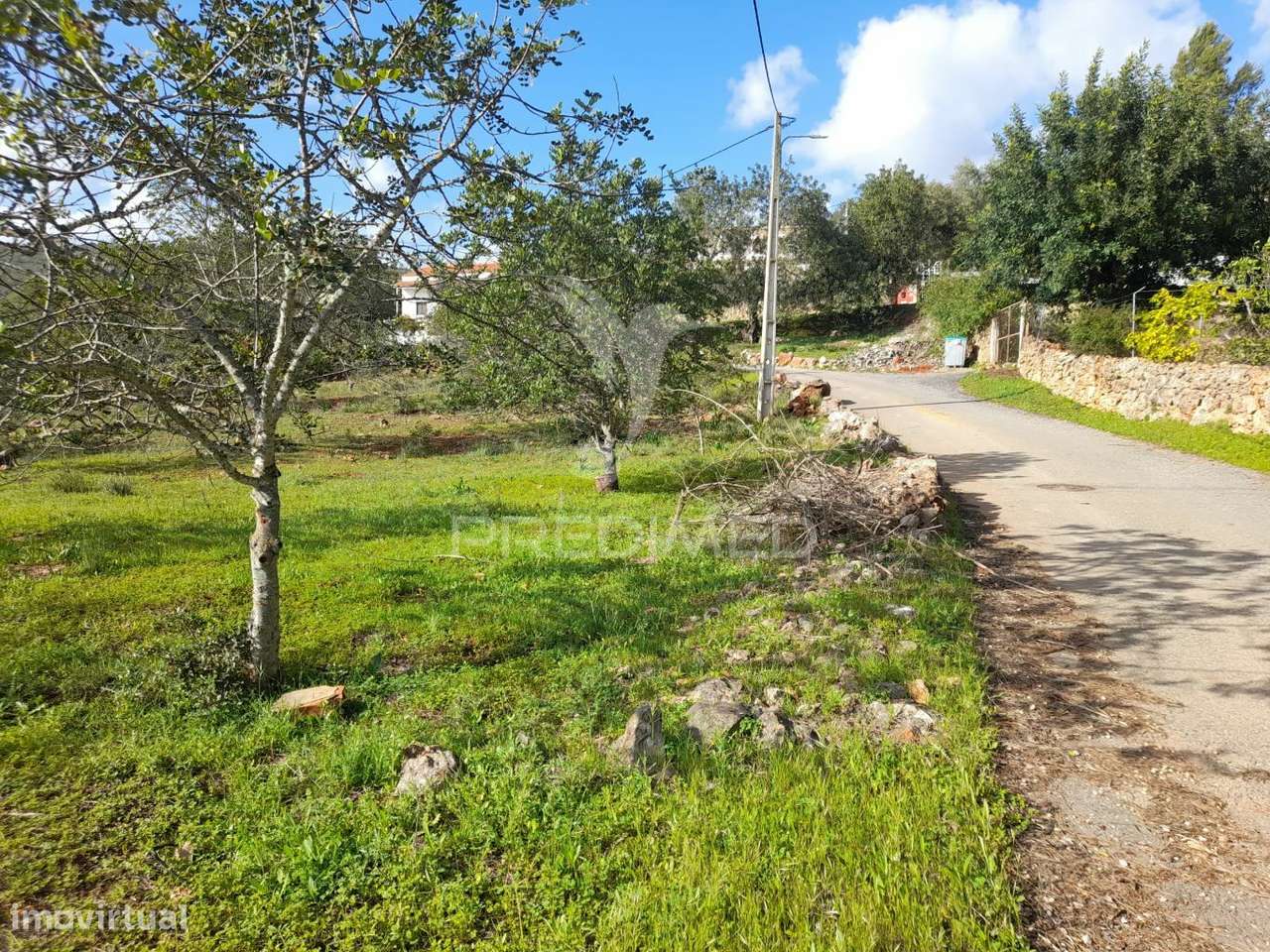 Terreno com projeto pata 9 moradias V3,localizado em Funchais da Tor - Grande imagem: 3/18