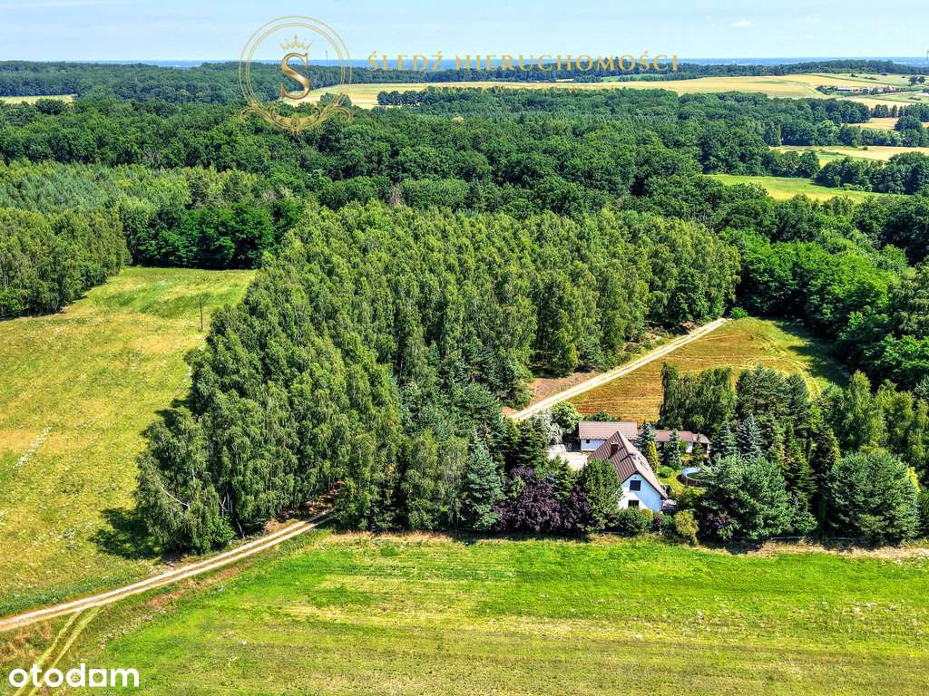 1,2 ha Działka Budowlana 45 min od Wrocławia + Las-16