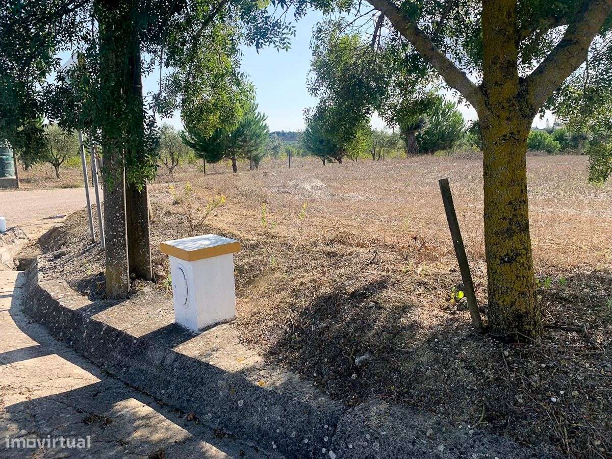 Moradia para Recuperar - Grande imagem: 2/10