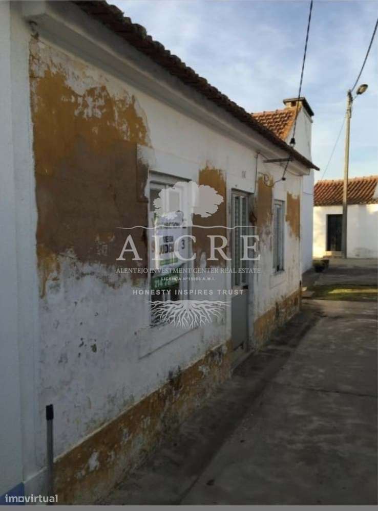 Chouto perto da Chamusca - Grande imagem: 4/22