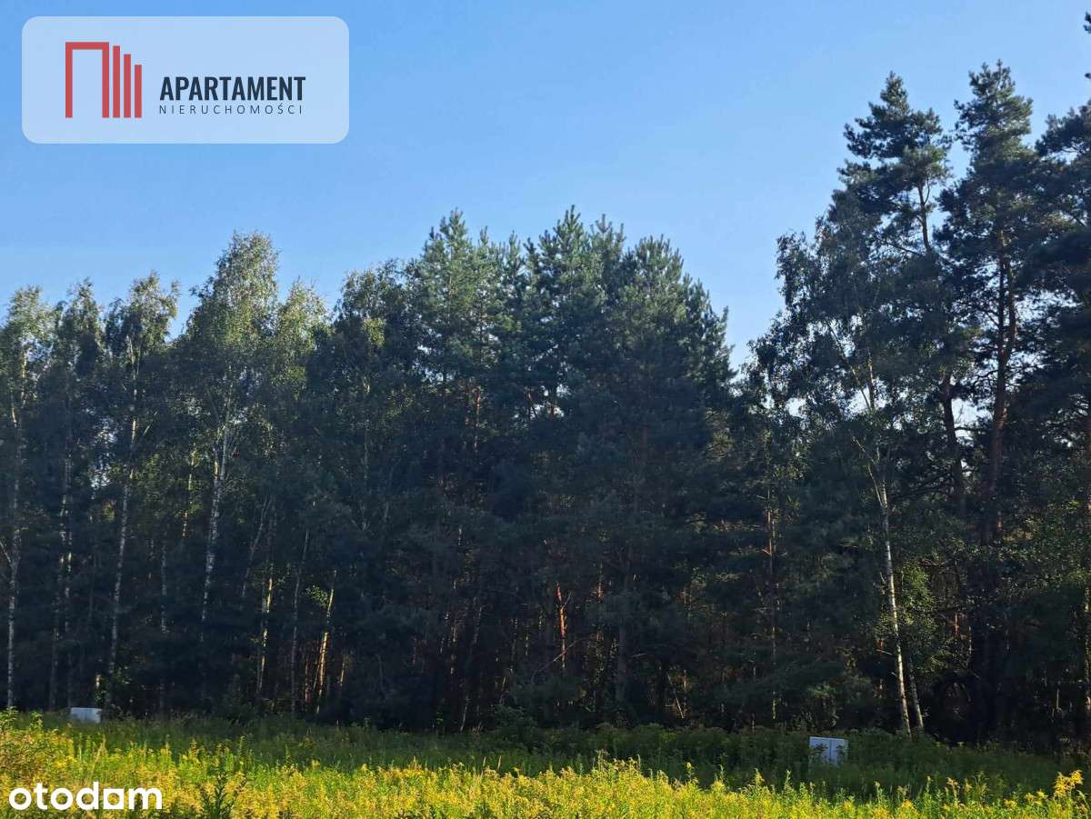 1222 m2 z widokiem na las! - Pełny obrazek: 5/20