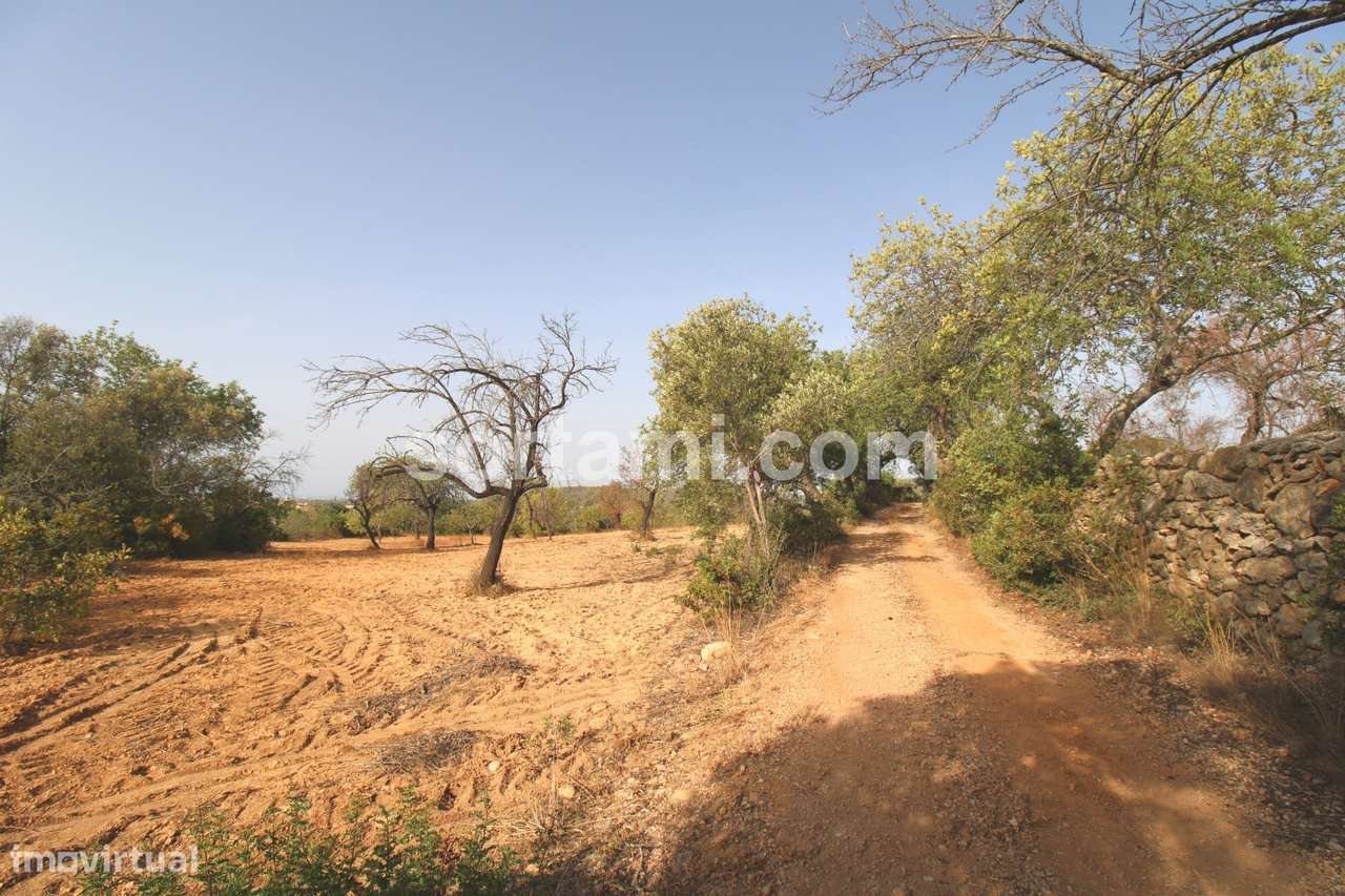 Terreno Rústico  Venda em Loulé (São Sebastião),Loulé - Grande imagem: 3/9
