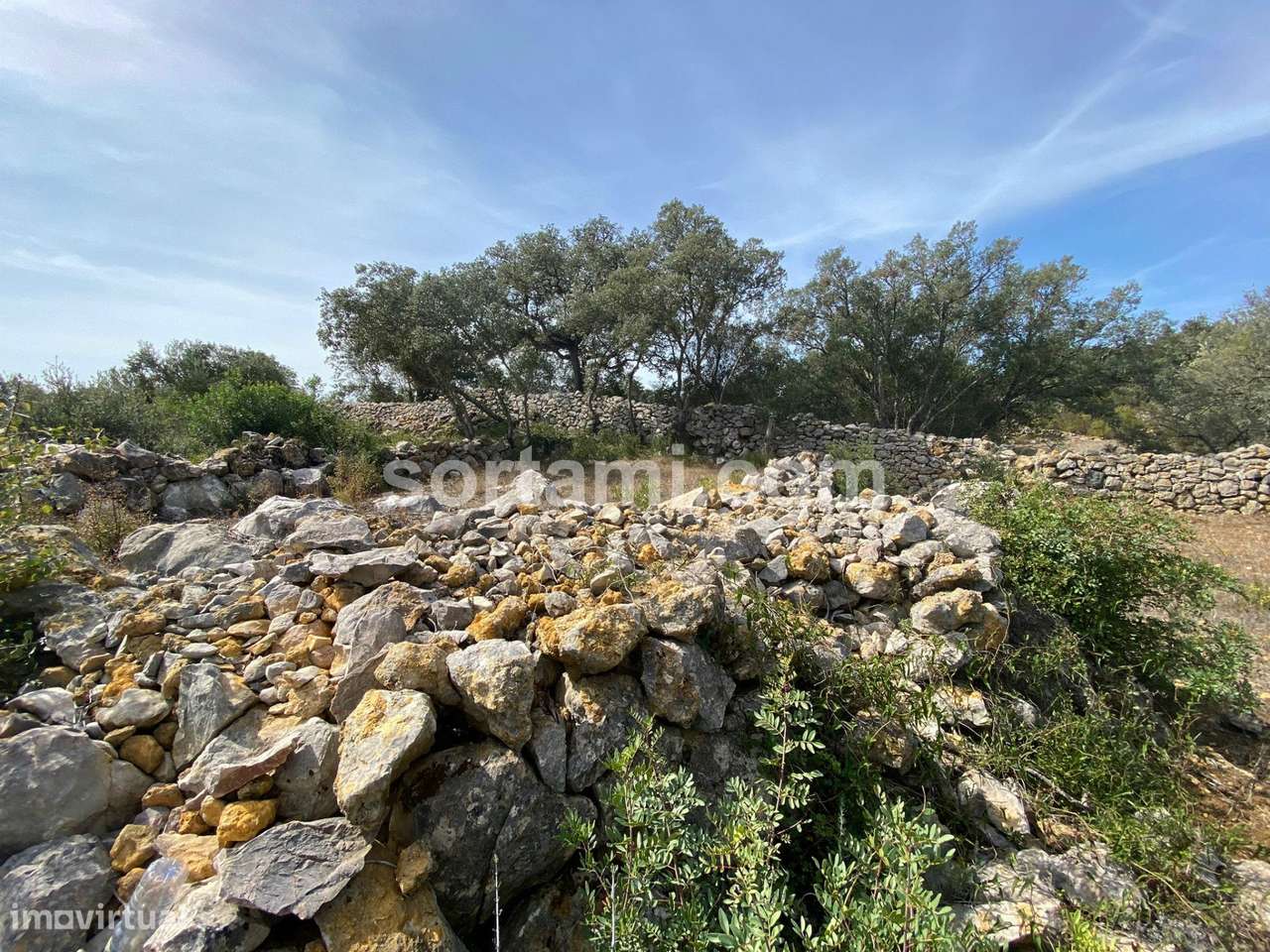 Terreno Para Construção  Venda em São Brás de Alportel,São Brás de Alp - Grande imagem: 5/10